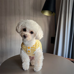Breathable Striped Pet Knit Vest - Thin & Lightweight Summer Dog Clothes for Cats, Teddy Poodles, and Small Breeds, Korean Style