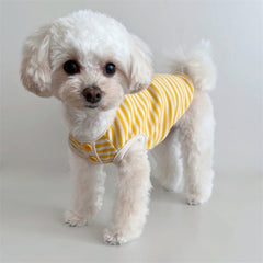 Breathable Striped Pet Knit Vest - Thin & Lightweight Summer Dog Clothes for Cats, Teddy Poodles, and Small Breeds, Korean Style