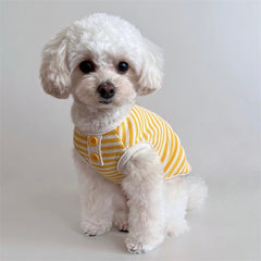 Breathable Striped Pet Knit Vest - Thin & Lightweight Summer Dog Clothes for Cats, Teddy Poodles, and Small Breeds, Korean Style