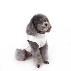 Reversible Striped Pet Vest - Dual-Style Autumn & Winter Sleeveless Layering Piece with Lace Trim for Teddy Poodles, Schnauzers, and Small Dogs