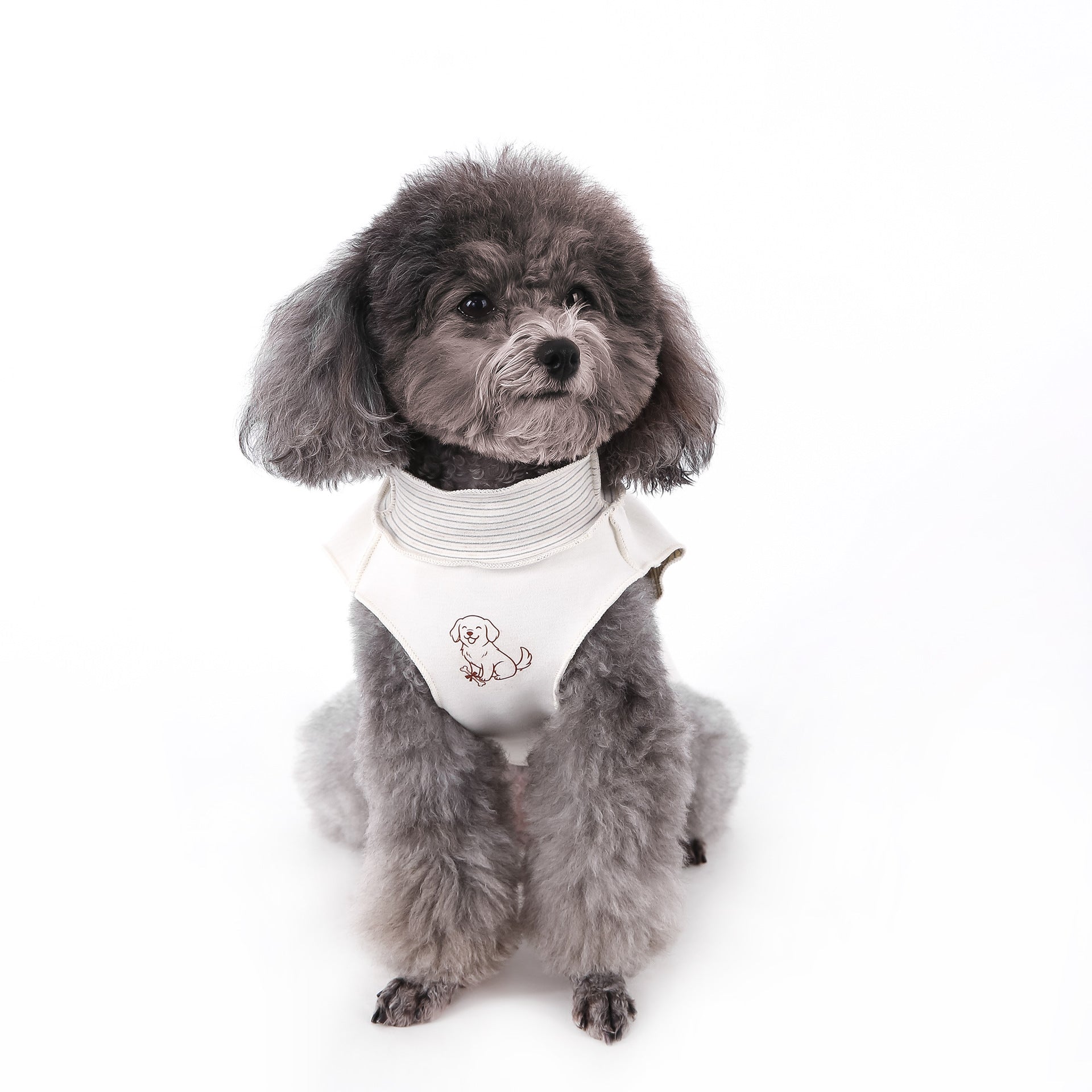 Reversible Striped Pet Vest - Dual-Style Autumn & Winter Sleeveless Layering Piece with Lace Trim for Teddy Poodles, Schnauzers, and Small Dogs